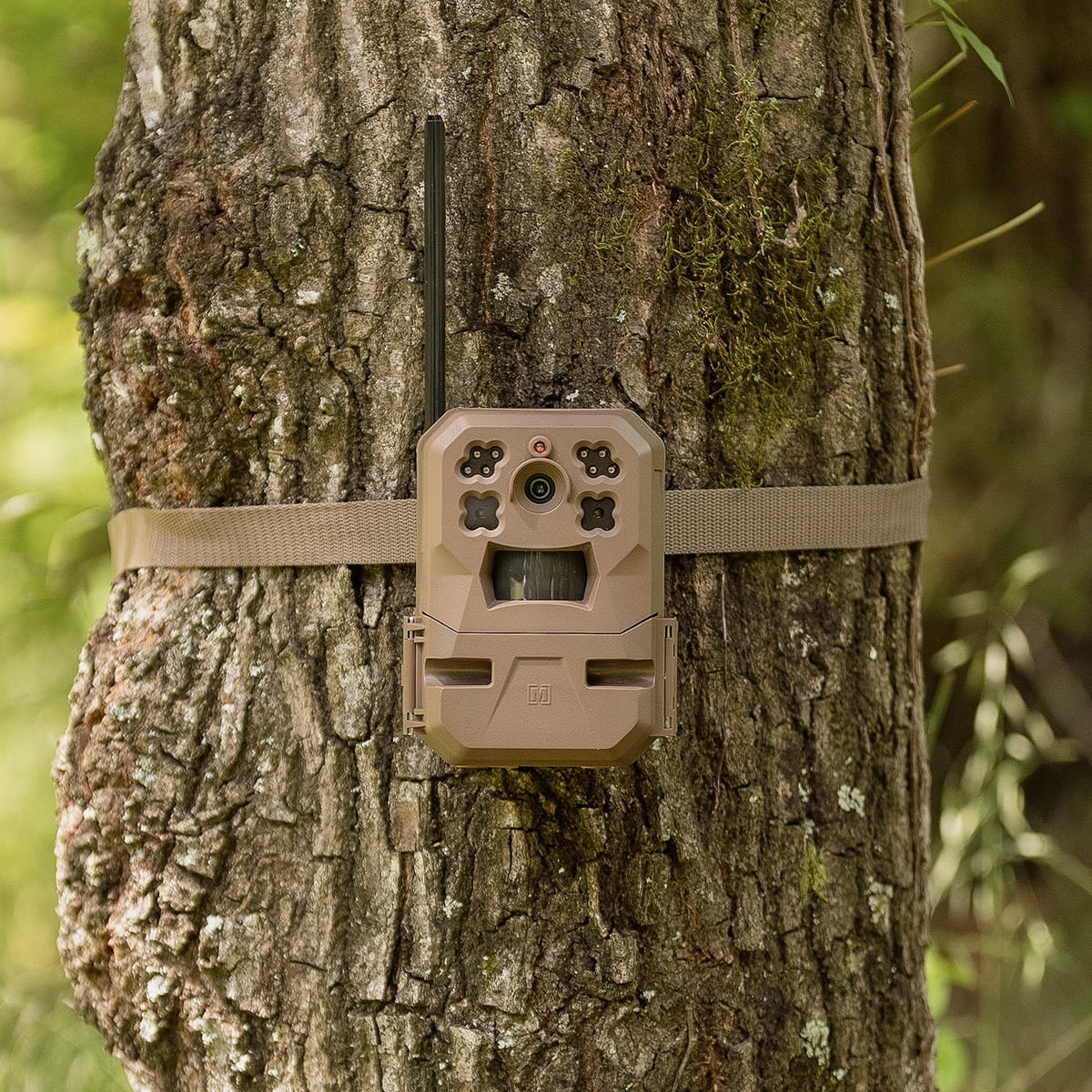 Cellular Trail Camera with Built-in Memory and 33MP Images (2-Pack) U987