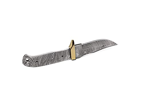 10 Inch Hand Forged Full Tang Knife Blank A20800