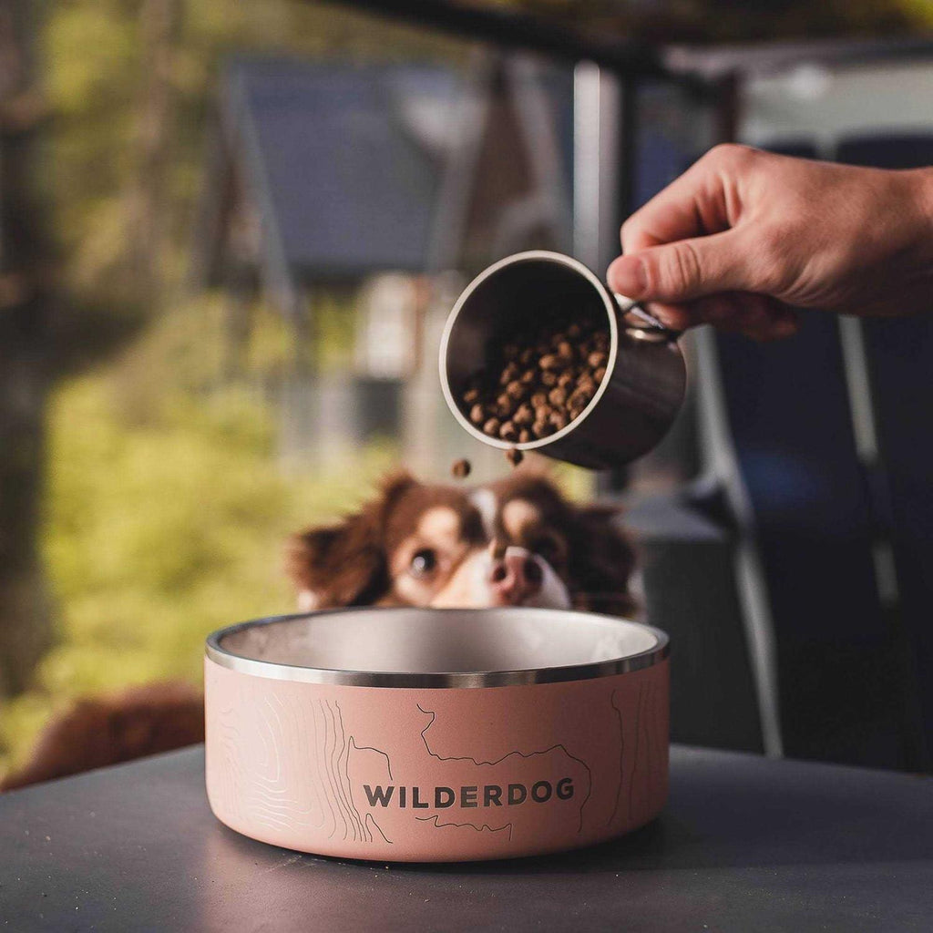 Stainless Steel Pet Bowl D422089