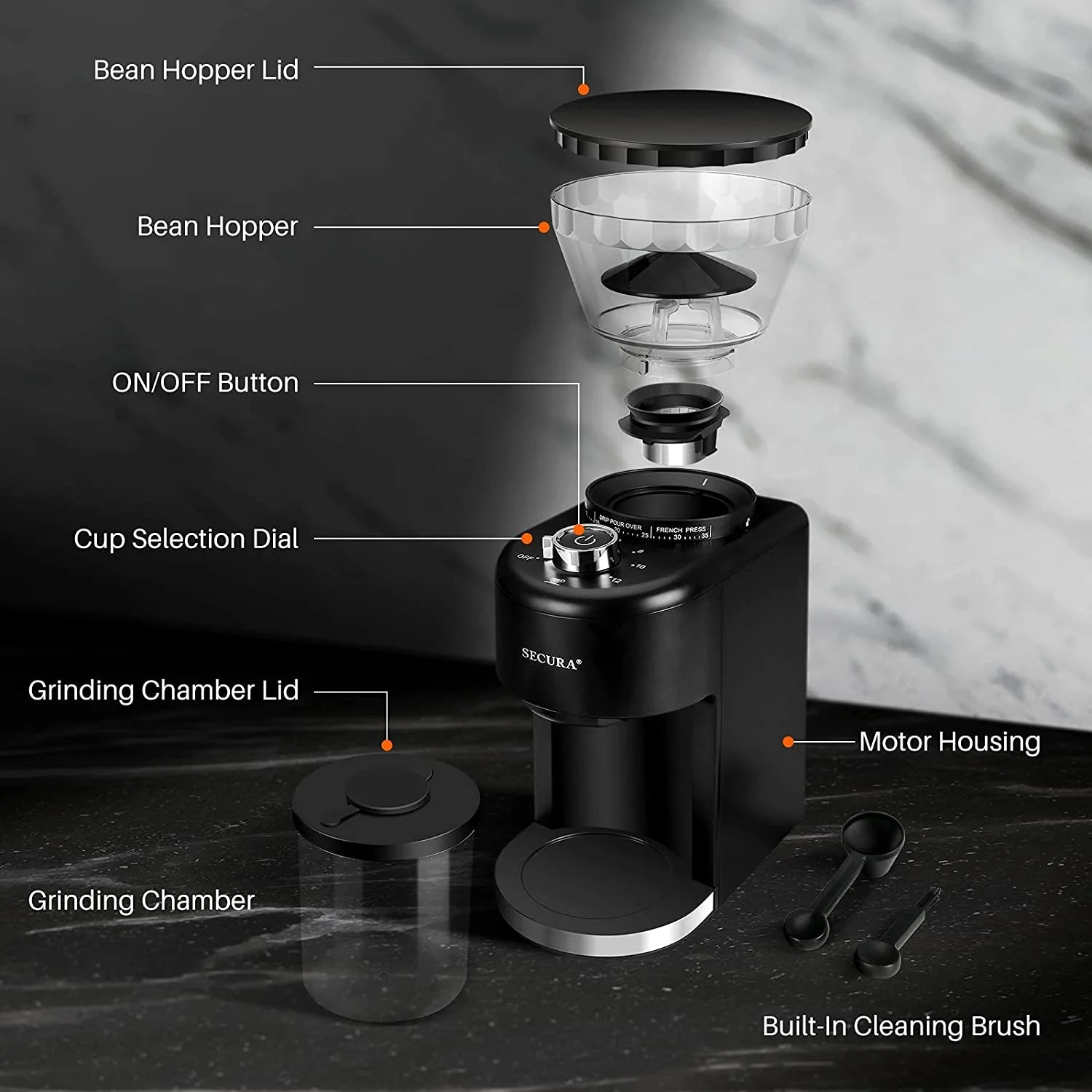 Conical Burr Coffee Grinder, Adjustable Mill for 2-12 Cups Z928