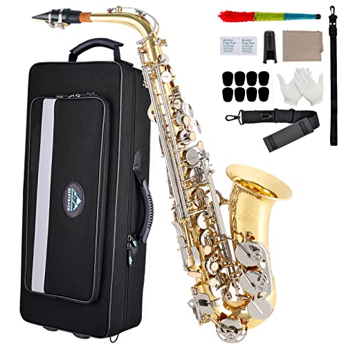 Alto Saxophone E Flat Full Kit for Students Beginner with Case and Accessories U23200