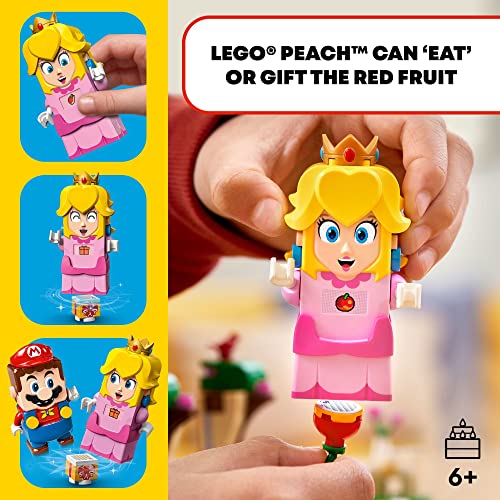 Super Mario Adventures with Peach Starter Course Buildable Game N676