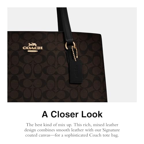 Carryall 40 Handbag, Brown Black J47608