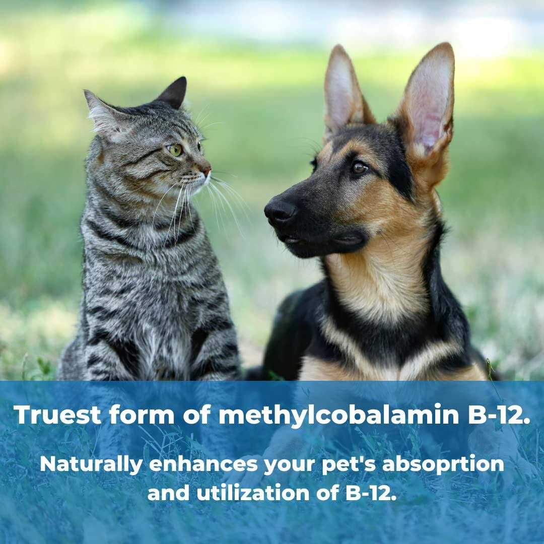 Pet Factor B-12 Supplement for Pets C32076