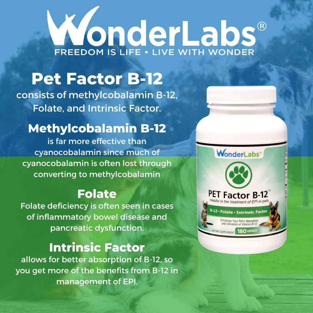 Pet Factor B-12 Supplement for Pets C32076