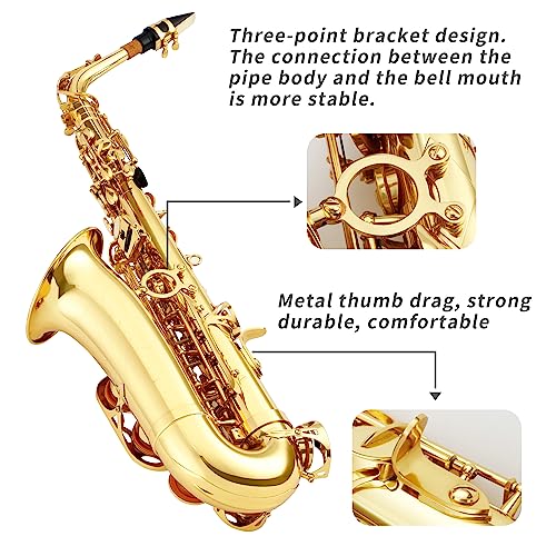 Alto Saxophone for Beginners with Carrying Case X5401