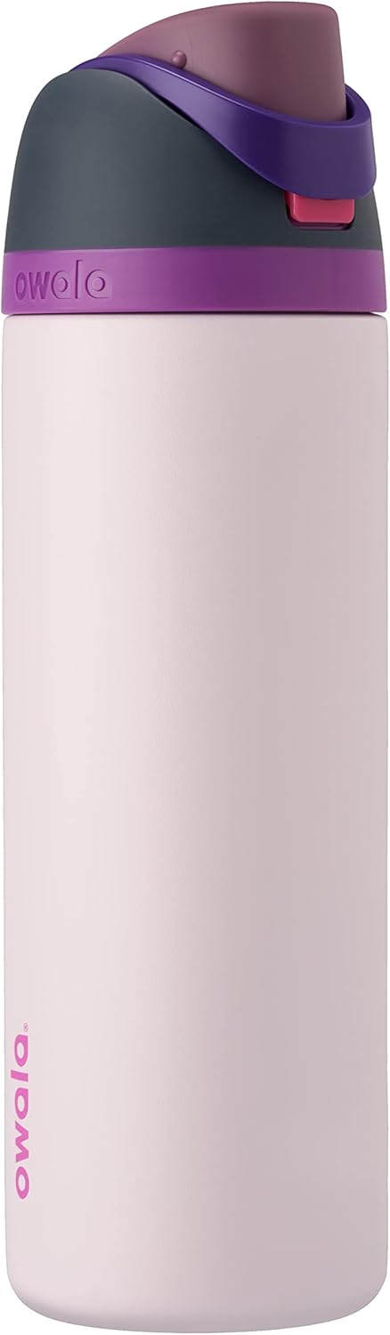 Insulated Stainless Steel Water Bottle with Straw Y45775