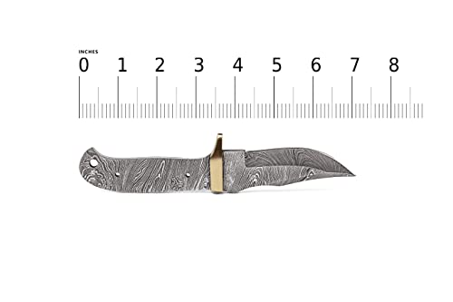 10 Inch Hand Forged Full Tang Knife Blank A20800