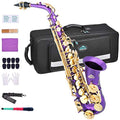 EASTROCK Black/Golden Alto Saxophone E Flat Sax Full Kit for Students Beginner with Carrying Case,Mouthpiece,Mouthpiece Cushion Pads,Cleaning Cloth&Cleaning Rod,White Gloves,Neck Strap