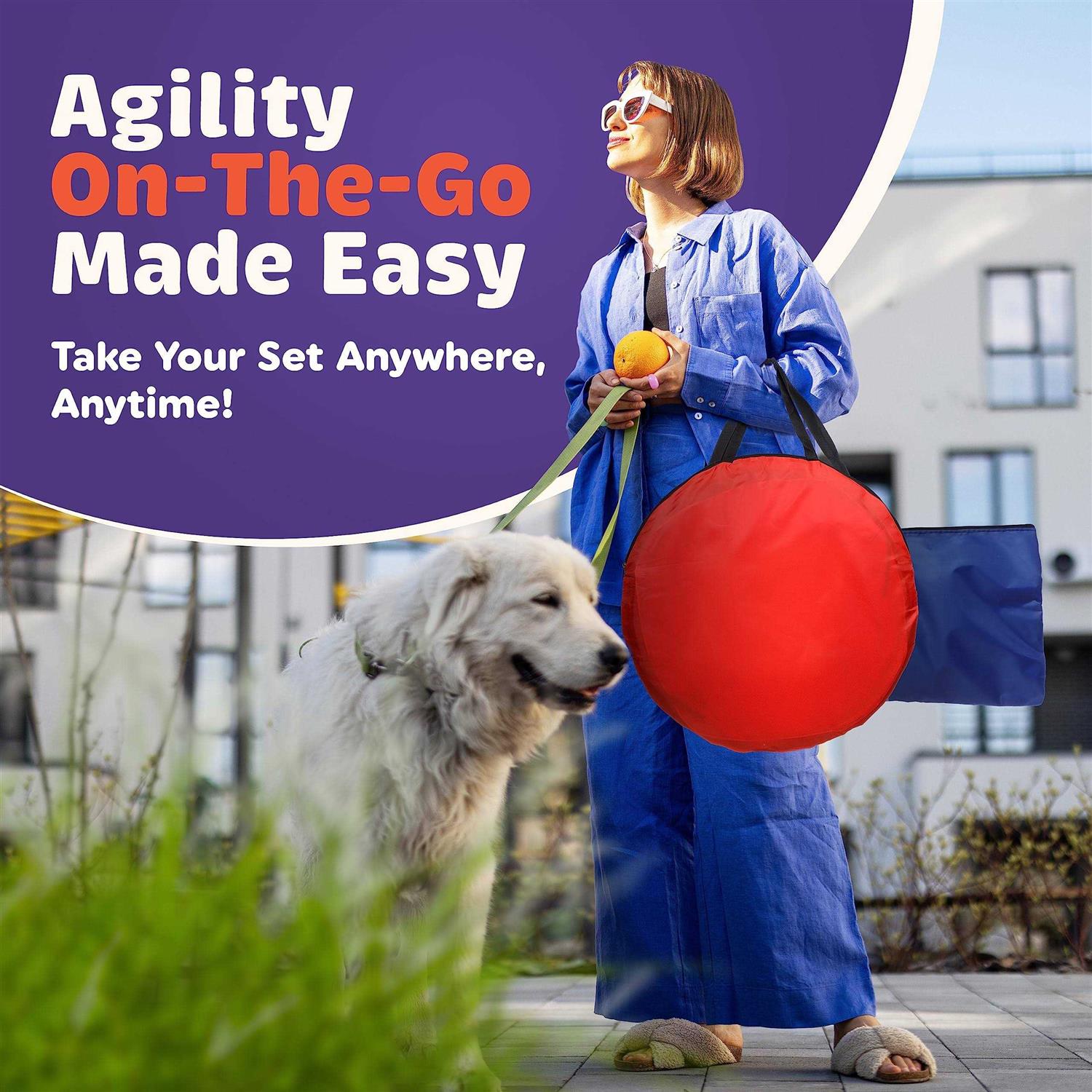 Dog Agility Training Equipment Set 15 Piece Backyard Course J364739