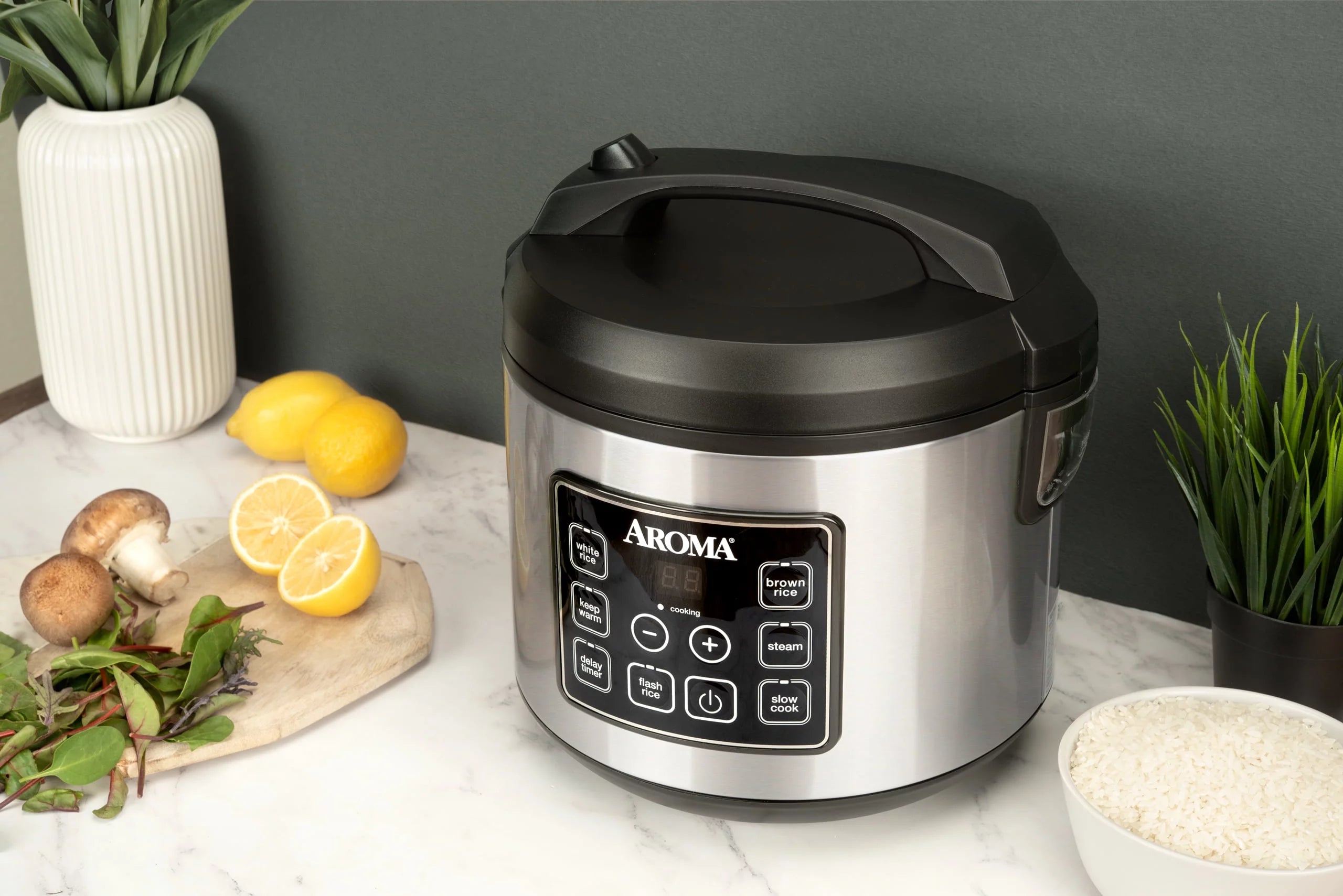 20-Cup Programmable Rice & Grain Cooker and Multi-Cooker W187632