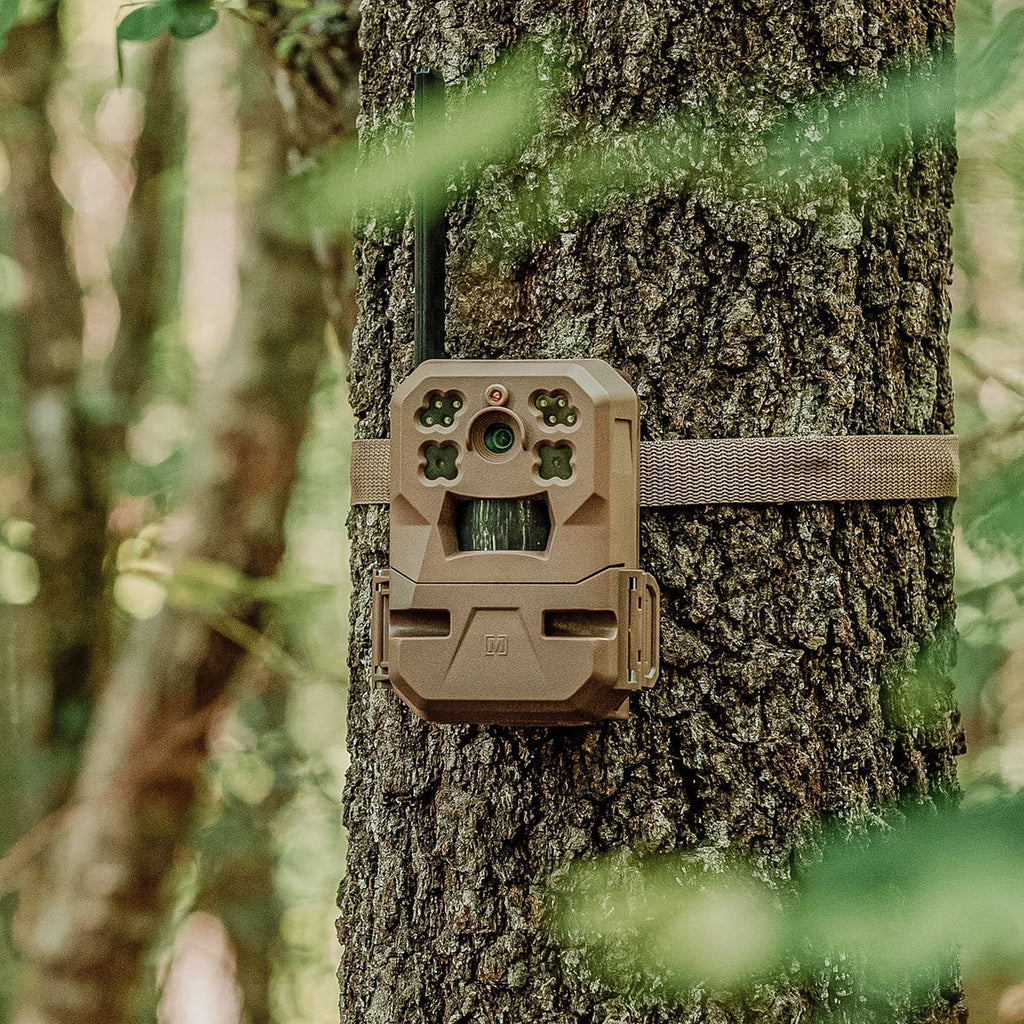 Cellular Trail Camera with Built-in Memory and 33MP Images (2-Pack) U987