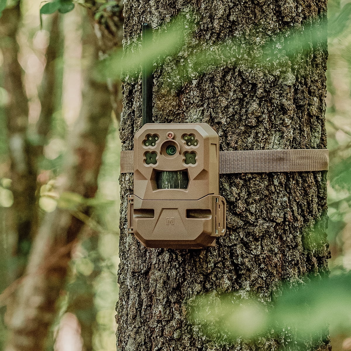 Cellular Trail Camera with Built-in Memory and 33MP Images (2-Pack) U987
