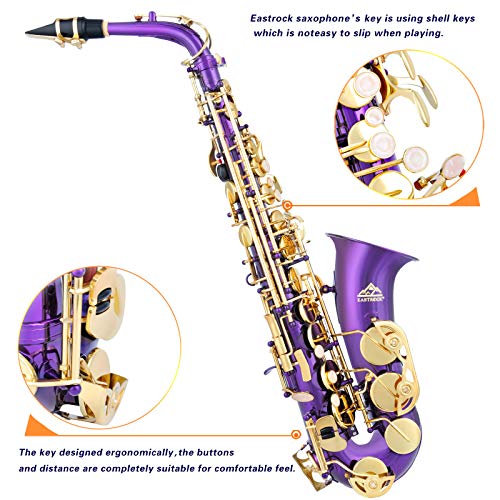 Alto Saxophone Full Kit for Students Beginner with Case and Accessories R27717
