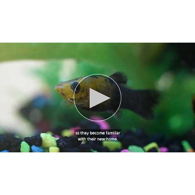 20 Gallon LED Aquarium Kit A2790