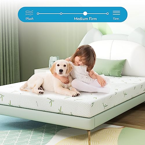 6 inch Full Mattress with Bamboo Cover, Medium Firm H249