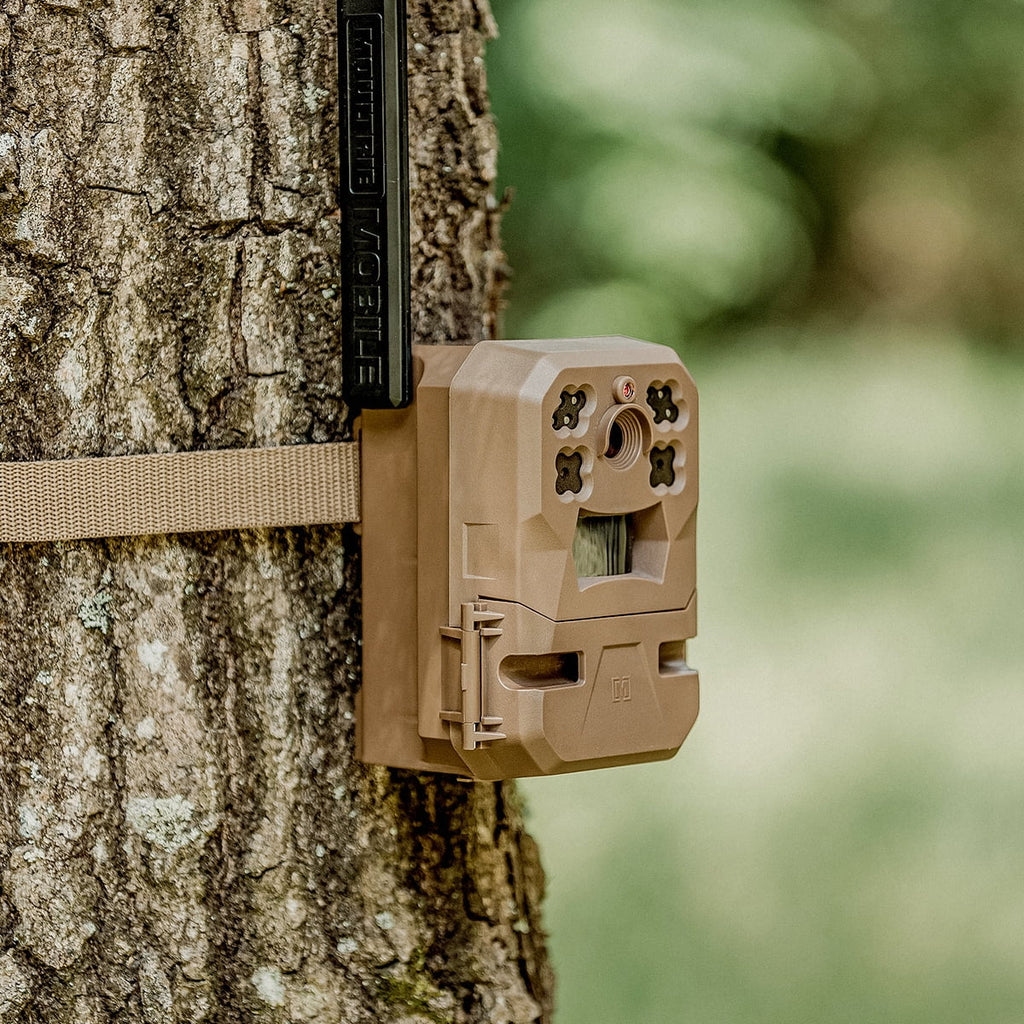 Cellular Trail Camera with Built-in Memory and 33MP Images (2-Pack) U987