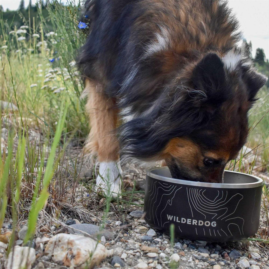 Stainless Steel Pet Bowl D422089