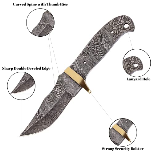 10 Inch Hand Forged Full Tang Knife Blank A20800