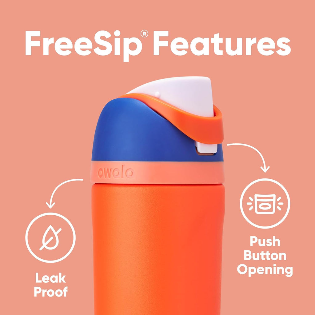 Kids Insulated Stainless Steel Water Bottle with Straw Lid, 16 oz D42864