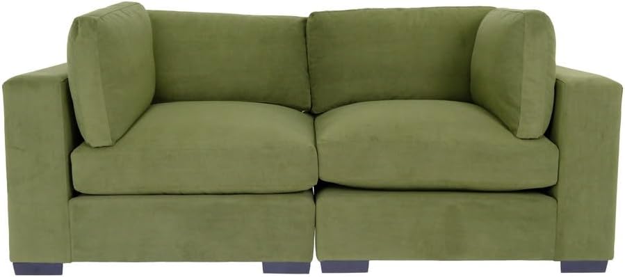 Green Loveseat Sofa for Living Room, Modern Mini Couch with Solid Wood Frame E836092