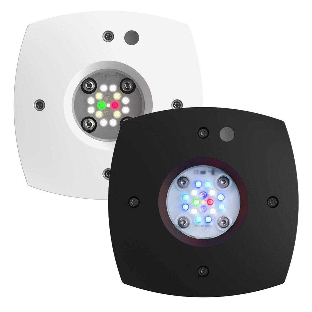 Reef LED Light for Aquarium J1622