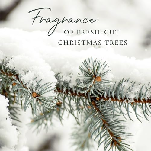 Frasier Fir Scented Candle - 9 oz J46960