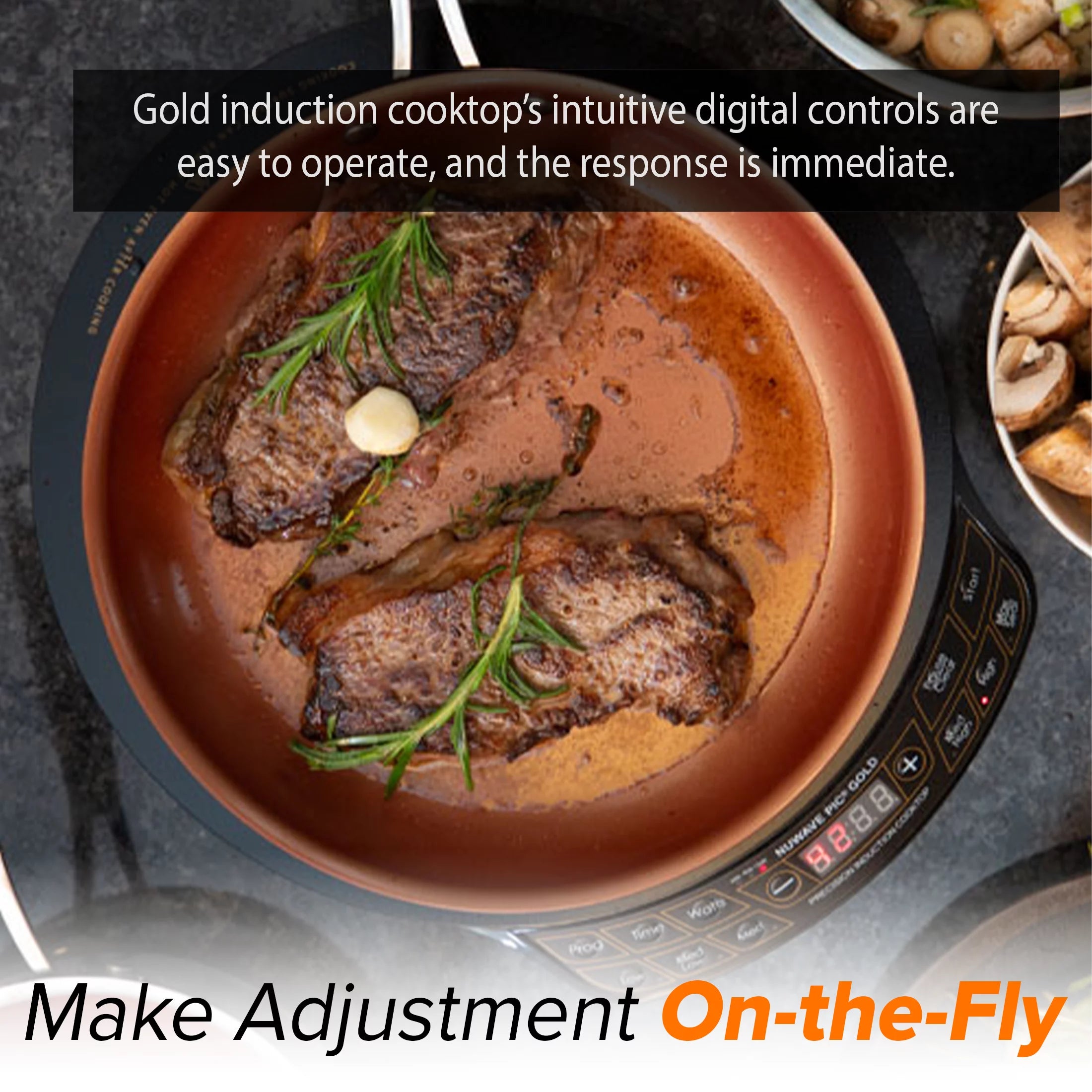 Induction Cooktop with 10.5 Inch Pan L222