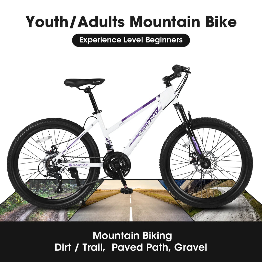 24 inch Mountain Bike for Teenagers Girls Women, 21 Speeds, Dual Disc Brakes J954506