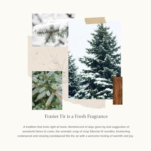 Pine Needle Frasier Fir Scented Candle, 16 Oz Y60263