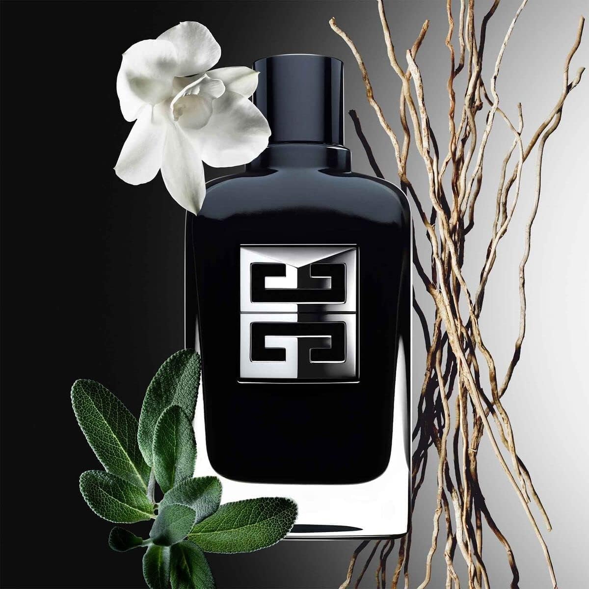 Eau de Parfum Gentleman Society 60 ml R295