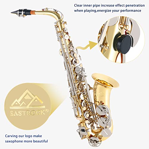 Alto Saxophone E Flat Full Kit for Students Beginner with Case and Accessories U23200