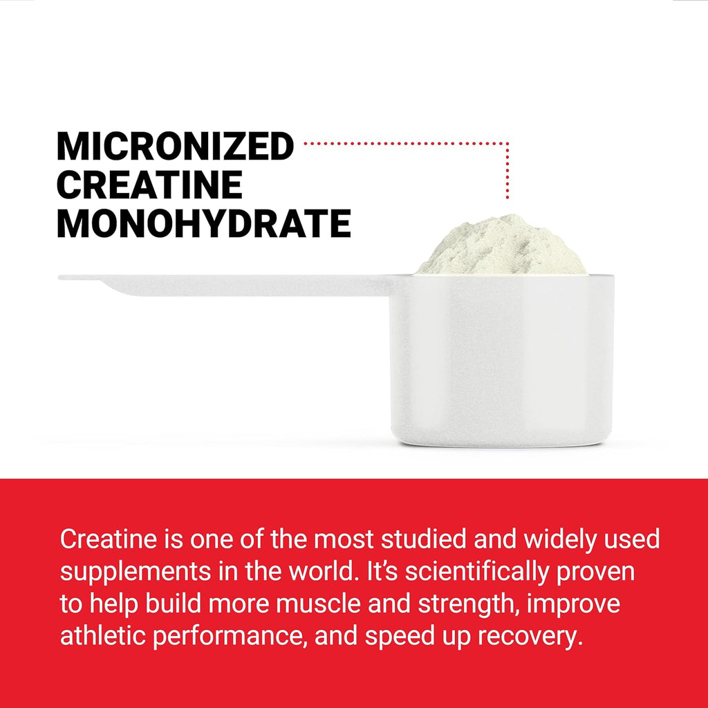 Whey Protein Powder Chocolate with Creatine Monohydrate S69022