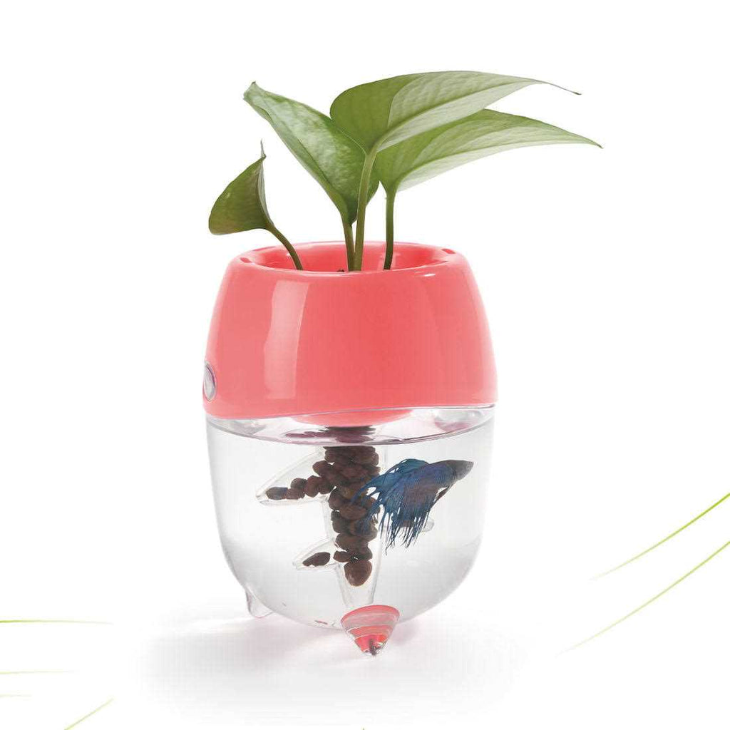 Aquaponic Fish Tank for Betta Fish with Water Garden Planter Top Lid A284