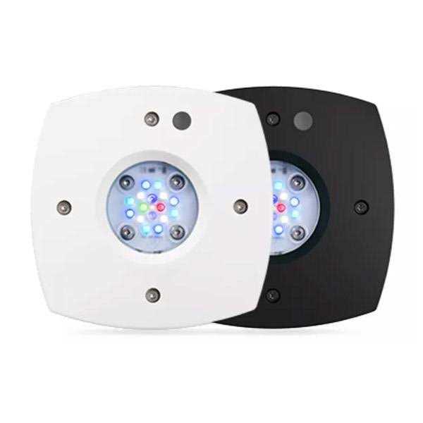 Reef LED Light for Aquarium J1622