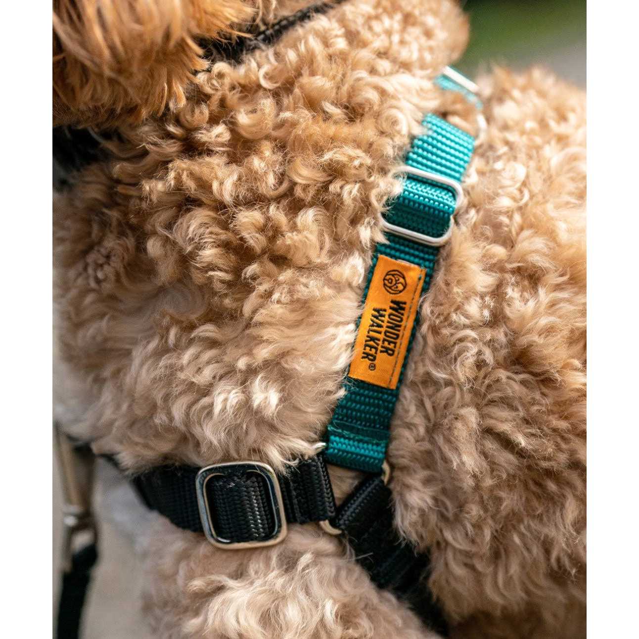 Body Halter Dog Harness S786