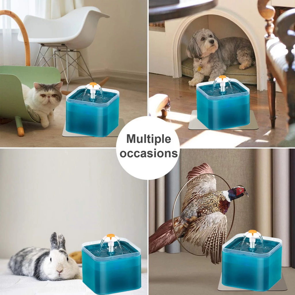 Cat Water Fountain 2L with Filters and Quiet Pump R334587