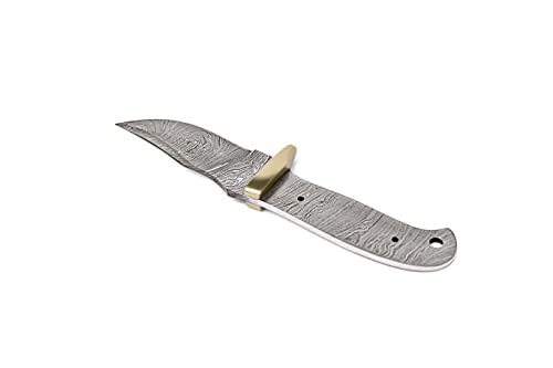 10 Inch Hand Forged Full Tang Knife Blank A20800