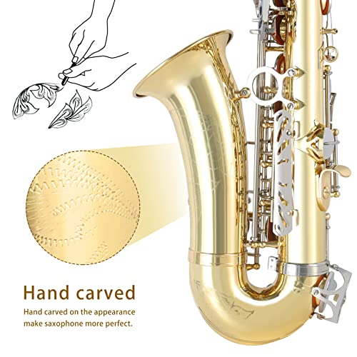 Alto Saxophone E Flat Full Kit for Students Beginner with Case and Accessories U23200