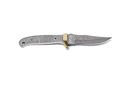 10 Inch Hand Forged Full Tang Knife Blank A20800