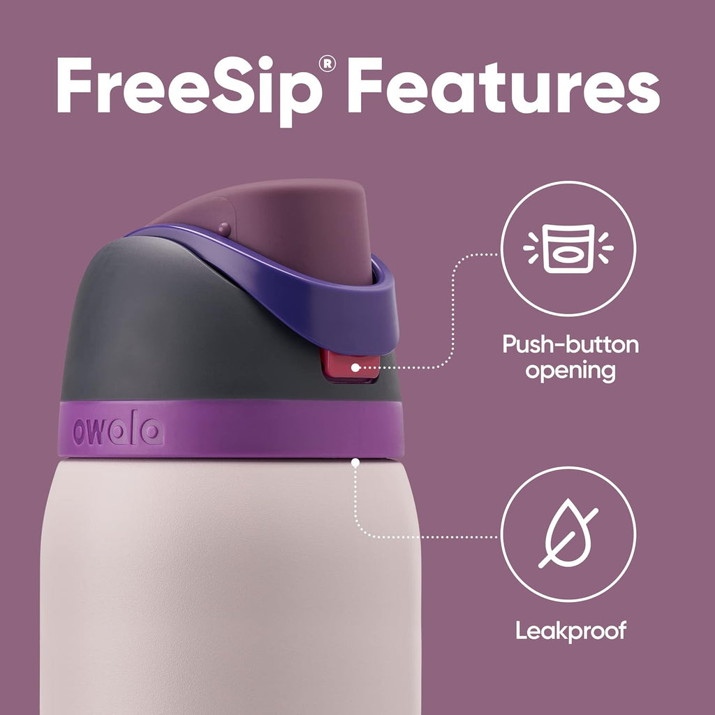 Insulated Stainless Steel Water Bottle with Straw Y45775