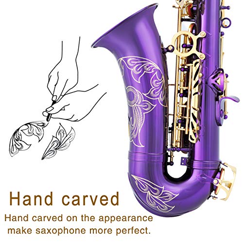Alto Saxophone Full Kit for Students Beginner with Case and Accessories R27717