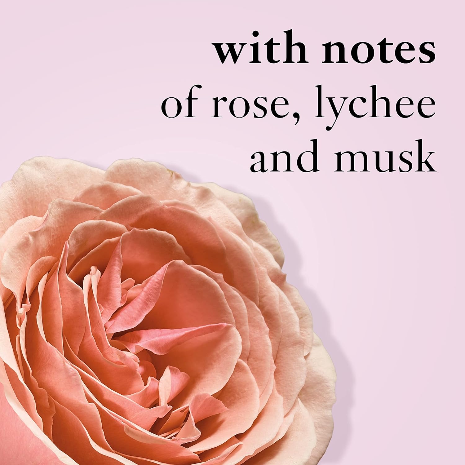 Ballet Rose Emulsion & Shower Gel Duo U9959