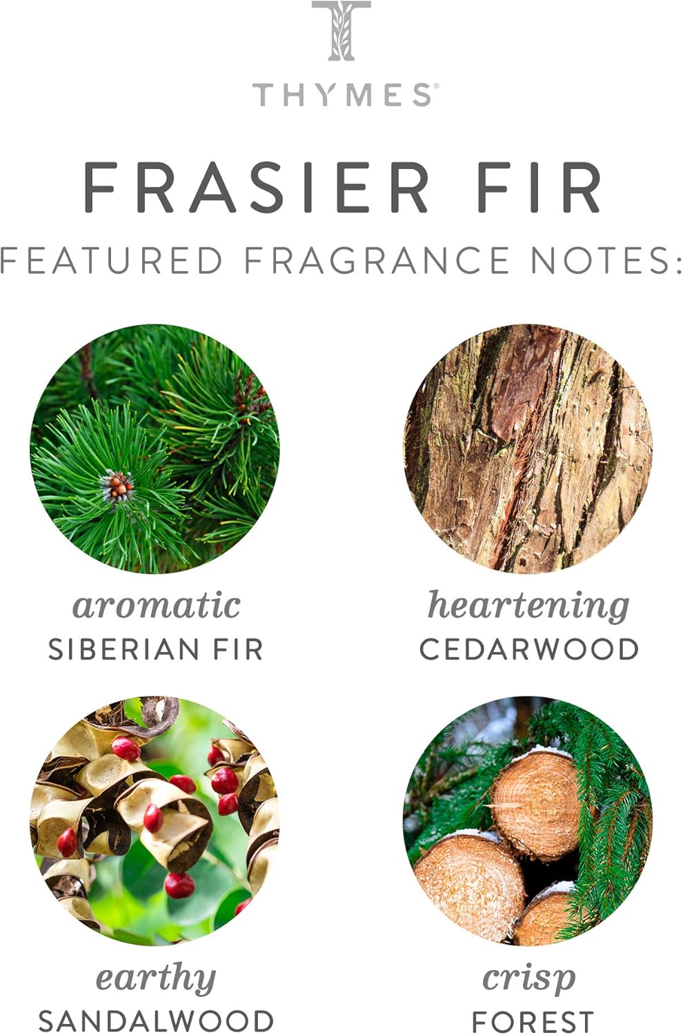 Frasier Fir Green Metal Tin - 4 Oz Z282