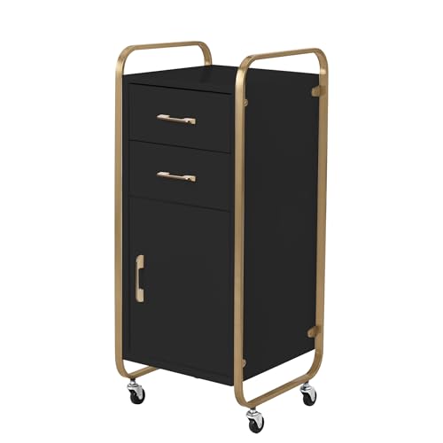 Salon Storage Trolley Cart with Wheels, No Installation Salon Stations for Hair Stylist, Salon Storage Cabinets, Rolling Salon Station for Beauty Spa Barbershop Tattoo