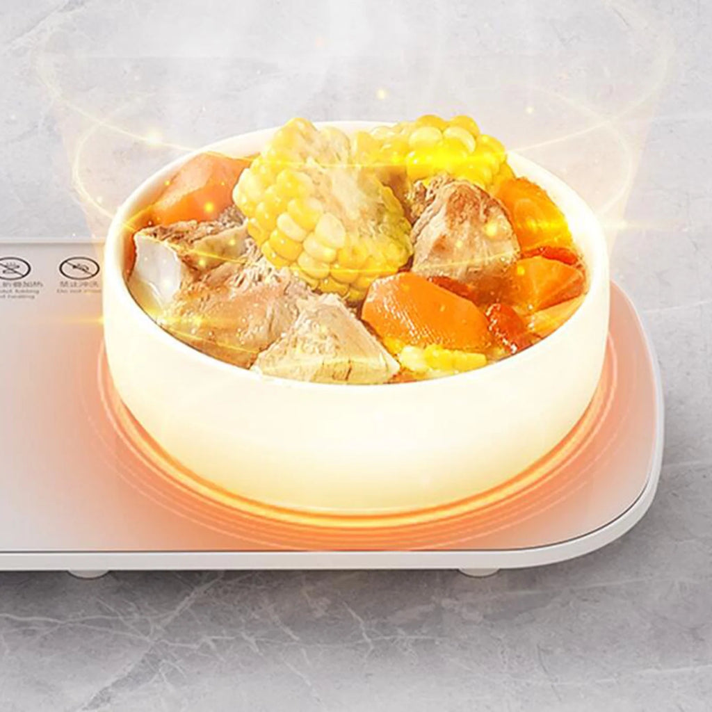 Electric Warming Tray Food Warmer for Kitchen E170