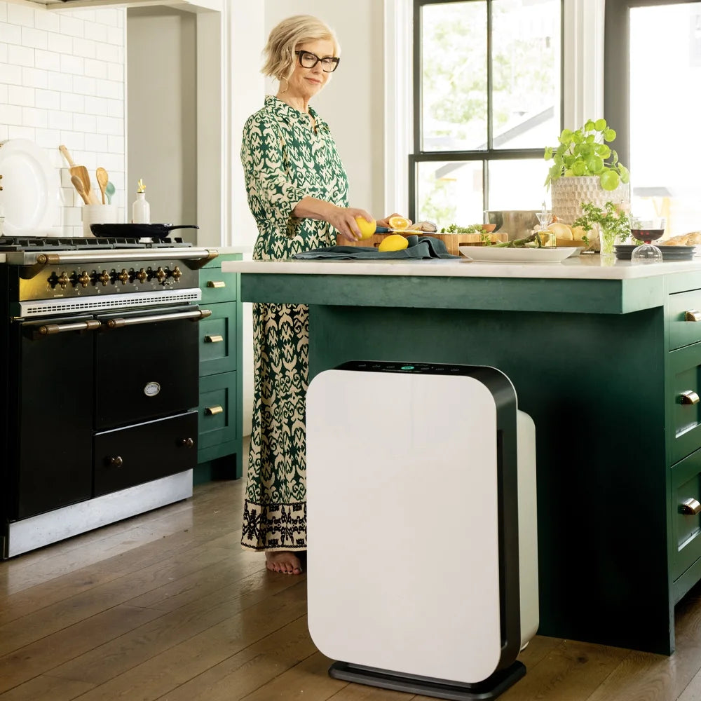Air Purifier with True HEPA Filter for Allergens, Dust, Mold, and Germs G5528