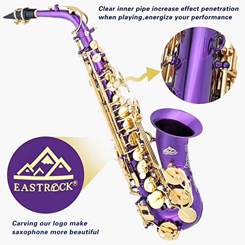 Alto Saxophone Full Kit for Students Beginner with Case and Accessories R27717