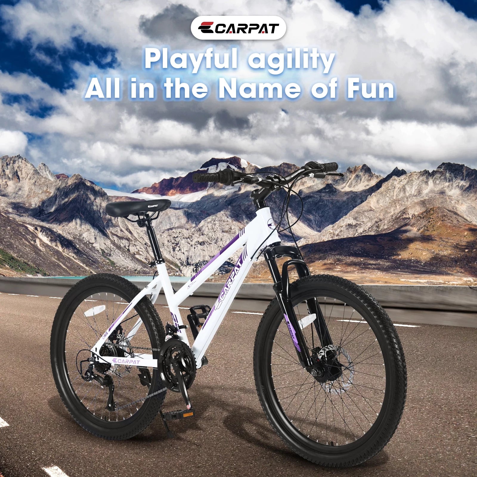 24 inch Mountain Bike for Teenagers Girls Women, 21 Speeds, Dual Disc Brakes J954506