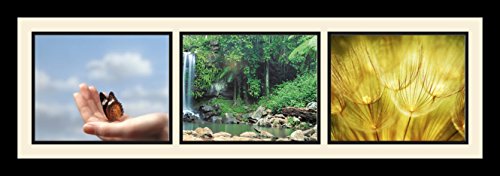 Collage Photo Frame with 3 Openings, Satin Black J2010